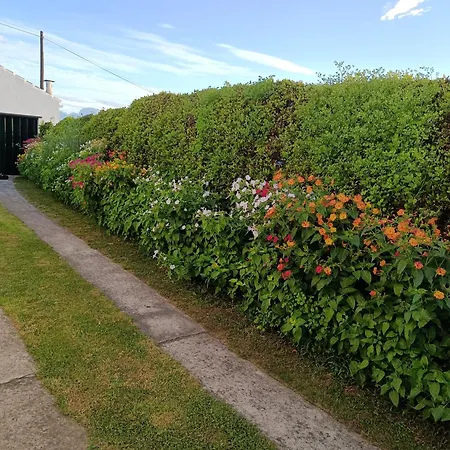 Casa Da Atalaia Holiday home *